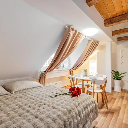 Karlsbad Apartments Apartmán Karlovy Vary