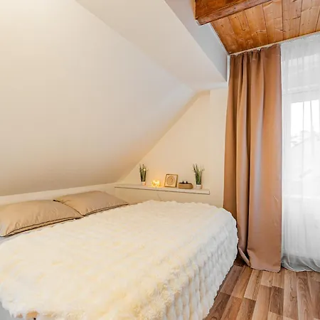 Apartment Karlsbad Apartments Karlovy Vary